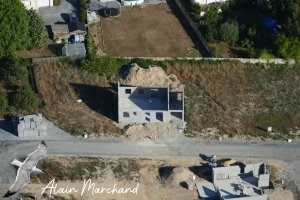 P1540940 2022 07 23 Allée Des Hérons